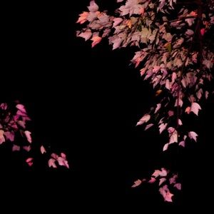 Meet your Posher, Azure